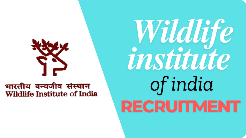  Wildlife institute of india recruitment